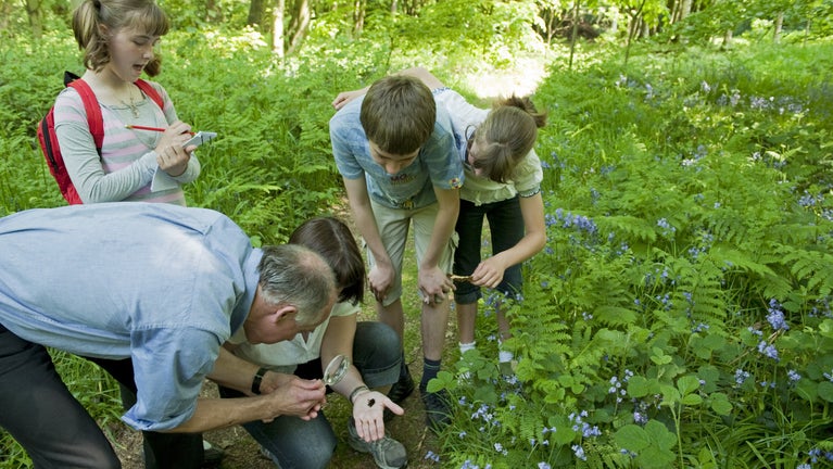 Image shows visitors bug-hunting in the garden at Speke Hall, Liverpool